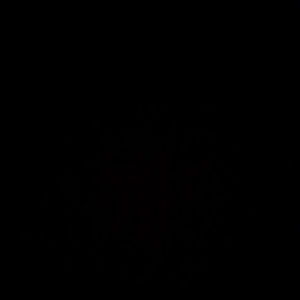 Meet your Posher, Denzel